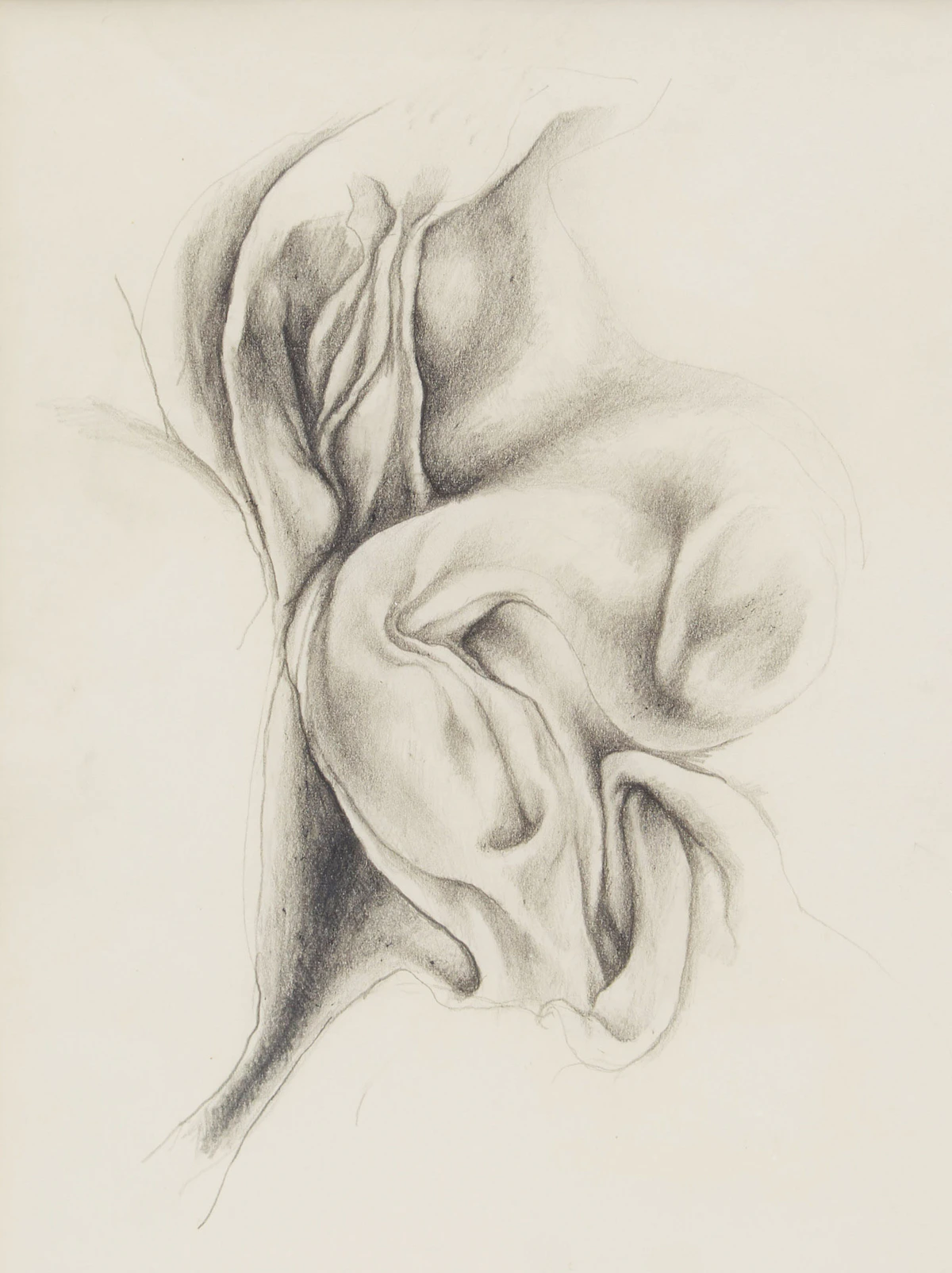 Unknown 20th Century Artist, Abstract Study, graphite drawing, 1965
