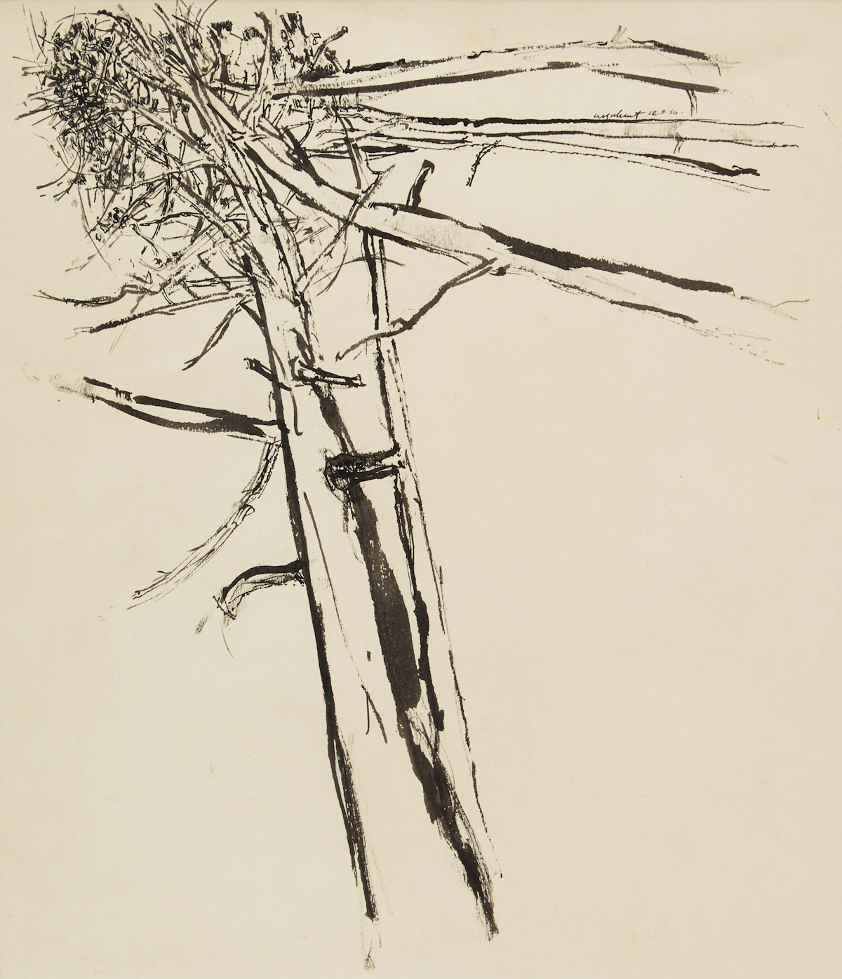 Tony Urquhart, Tree, ink drawing, 1956