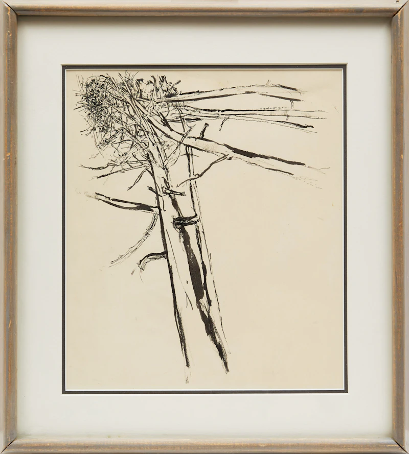 Tony Urquhart, Tree, ink drawing, 1956 - view 2