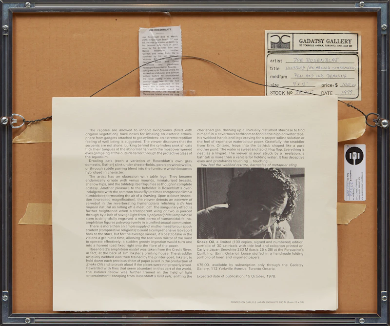 Joe Rosenblatt, Untitled (An Absurd Statement), pen and ink drawing, 1977 - view 3
