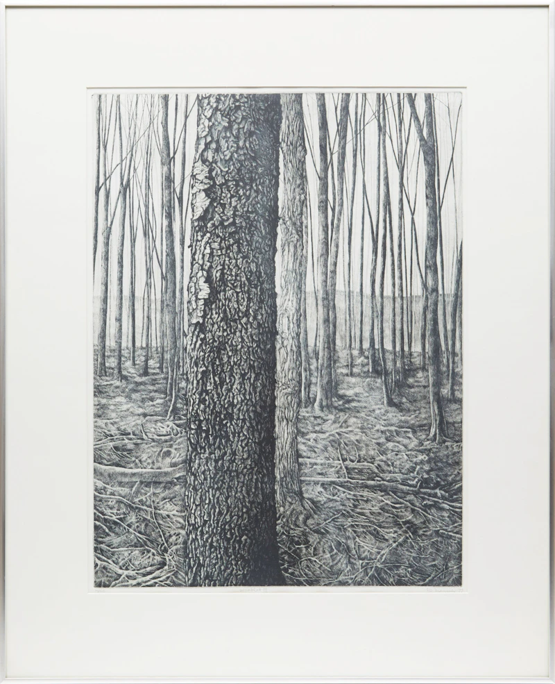 Jo Manning, Woodlot III, etching, 1977 - view 2