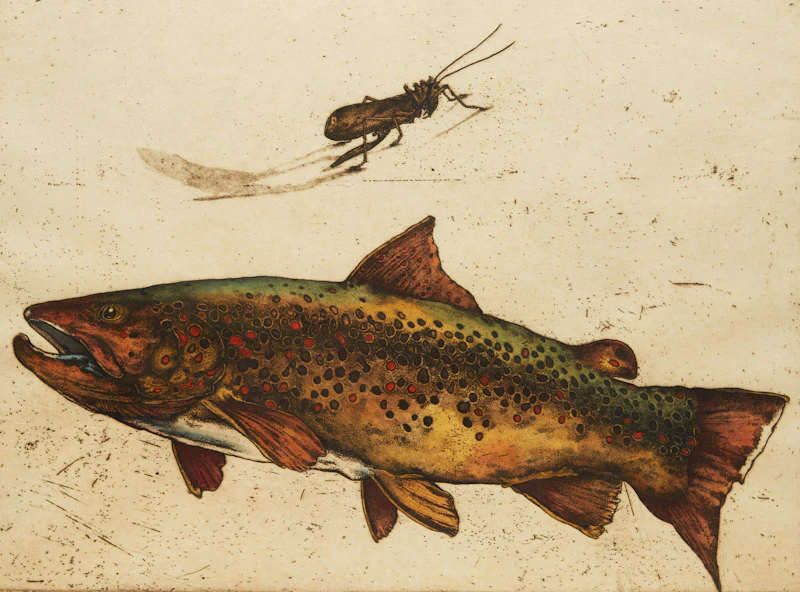 Killers of the Bow River (Western Canada Trout Series) by Jack Cowin