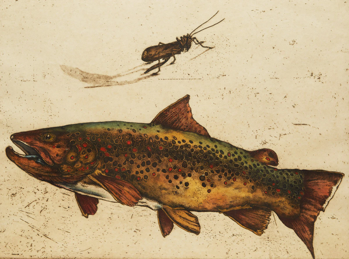 Jack Cowin, Killers of the Bow River (Western Canada Trout Series), colour etching, 1979