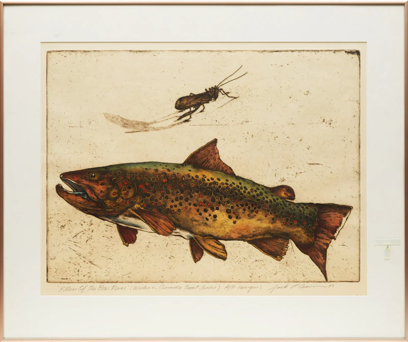Jack Cowin, Killers of the Bow River (Western Canada Trout Series), colour etching, 1979 - view 2
