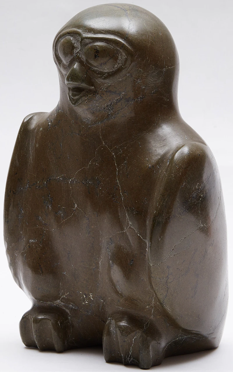 Owl by Possibly Oviloo Tunnillie