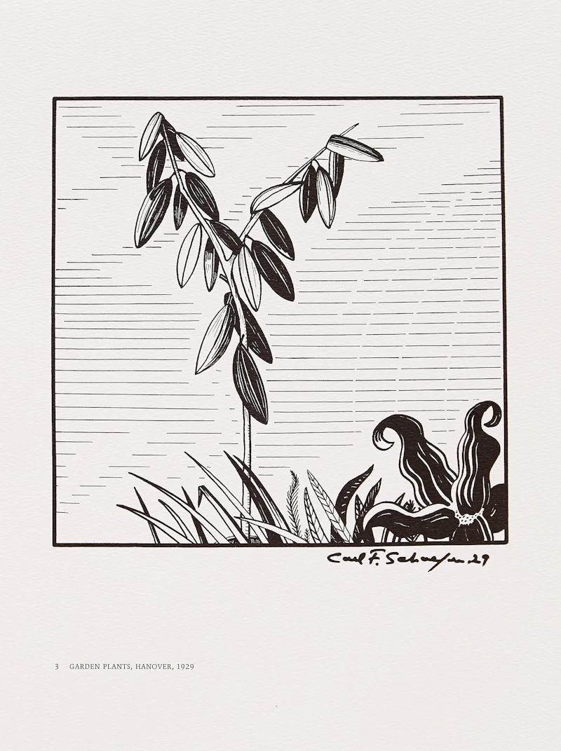 Carl Fellman Schaefer, 18 Hanover Drawings, 1924-1930, no-medium - view 3