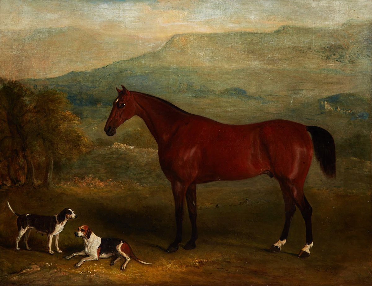 John Ferneley Jr., Bay Hunter and Hounds at Wensleydale, Yorkshire, , oil on canvas, 1859