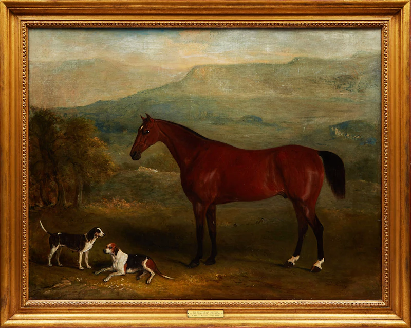 John Ferneley Jr., Bay Hunter and Hounds at Wensleydale, Yorkshire, , oil on canvas, 1859 - view 2