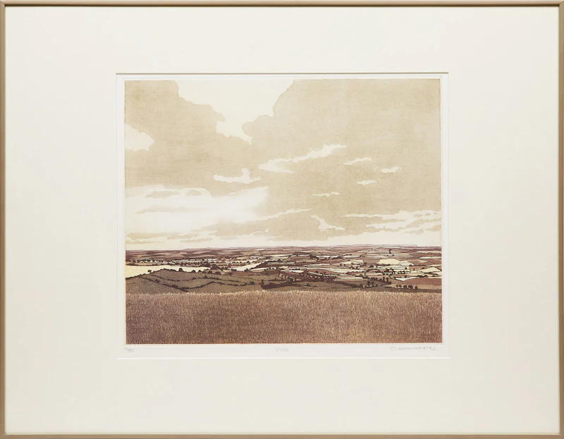 Phil Greenwood, Vista, etching - view 2