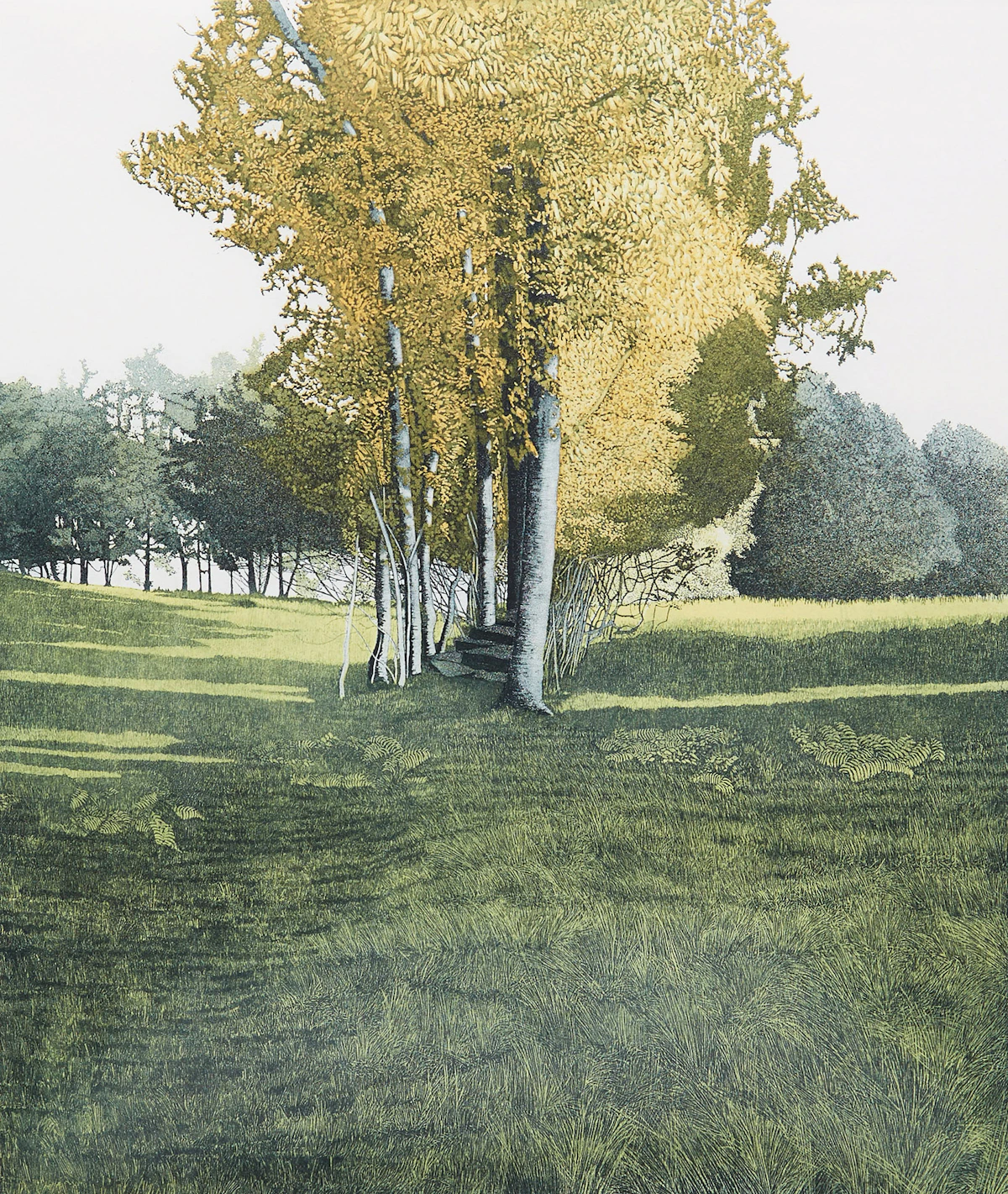 Phil Greenwood, Saplings, colour etching