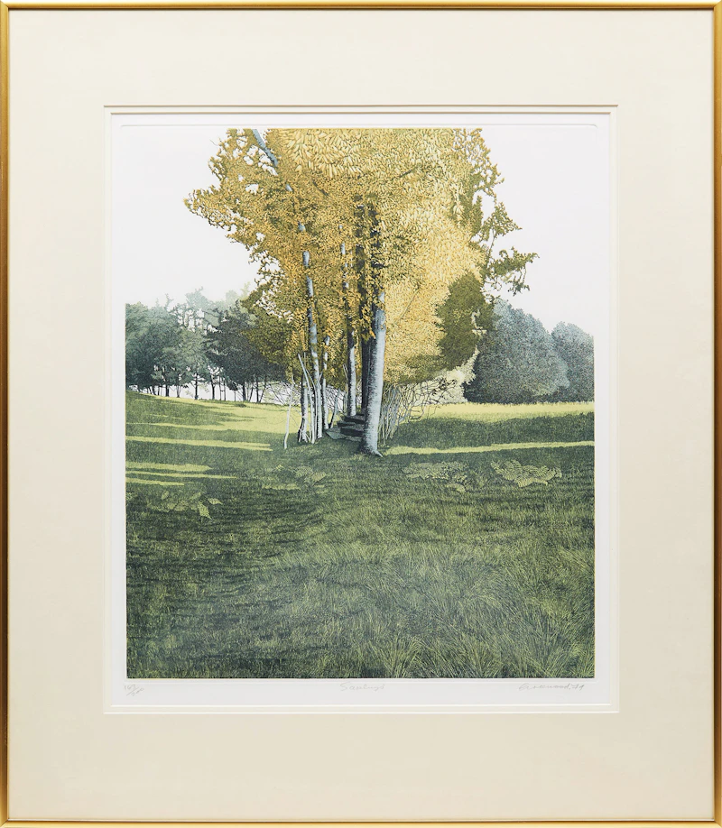 Phil Greenwood, Saplings, colour etching - view 2