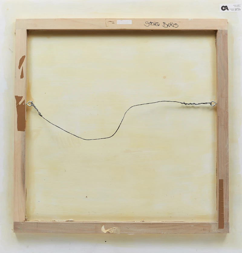 Steven Baris, Landscape, oil on plexiglass, 2003 - view 2