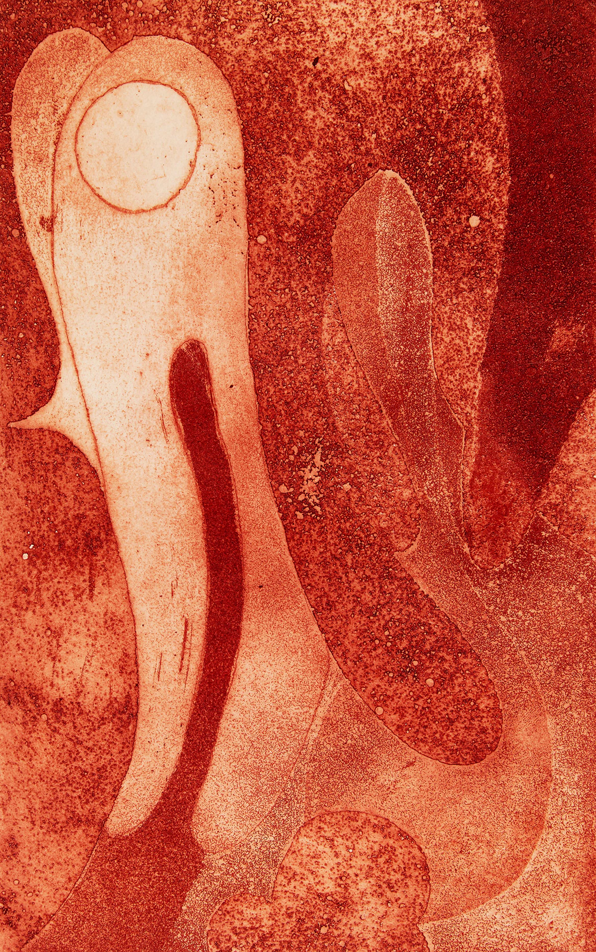Robert Houle, Obsession, etching, 1975