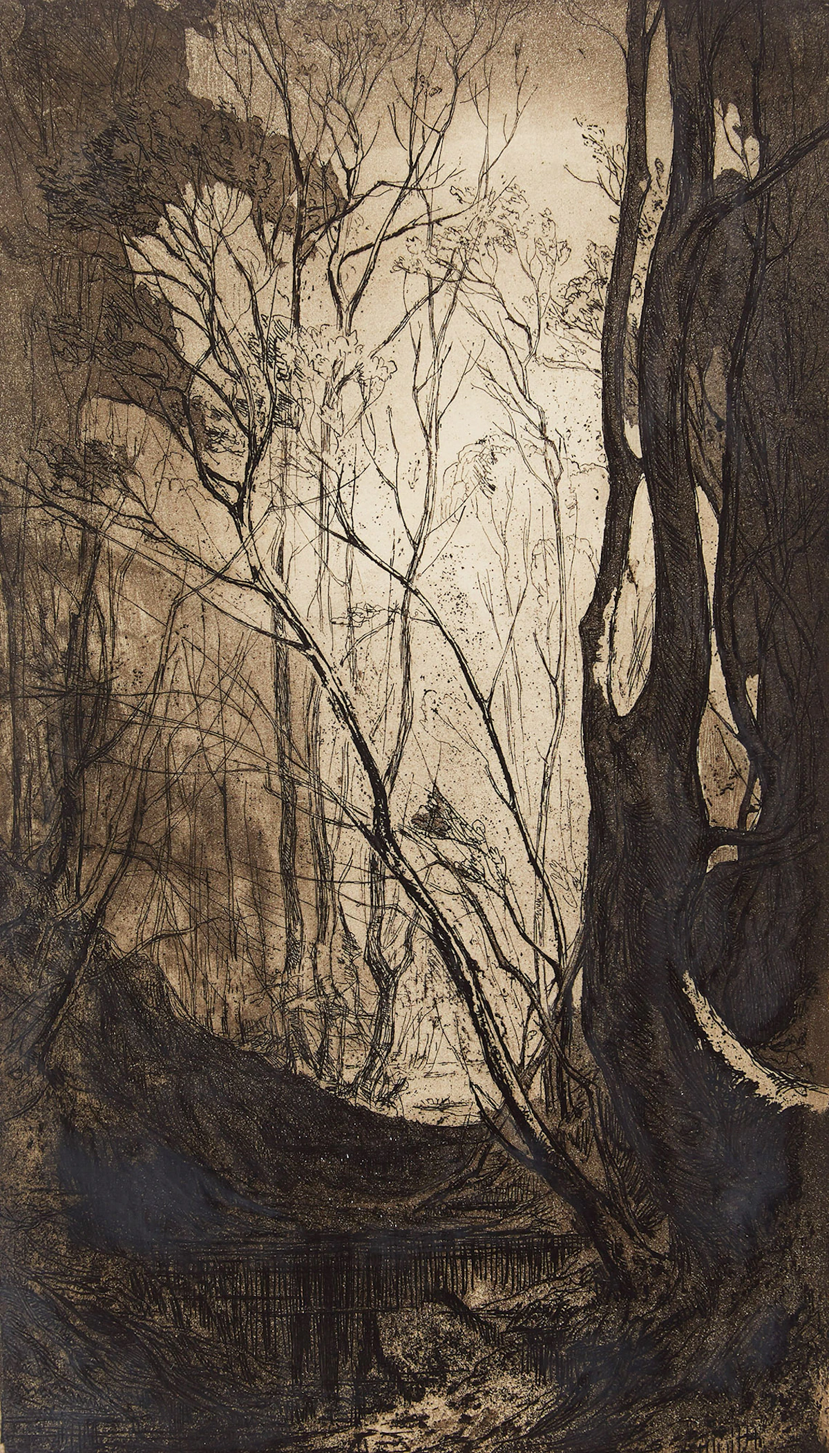 Eveleen Buckton, Forest Interior, etching