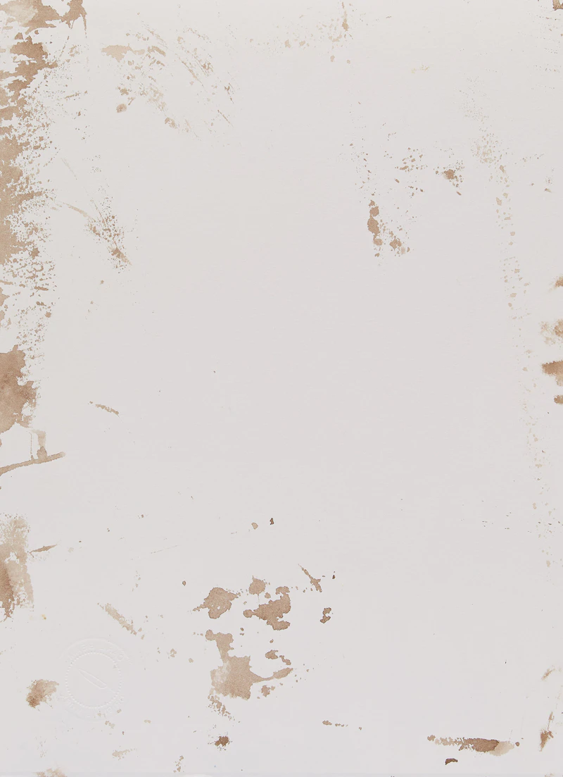 Carl Beam, Geronimo, mixed media on paper - view 2