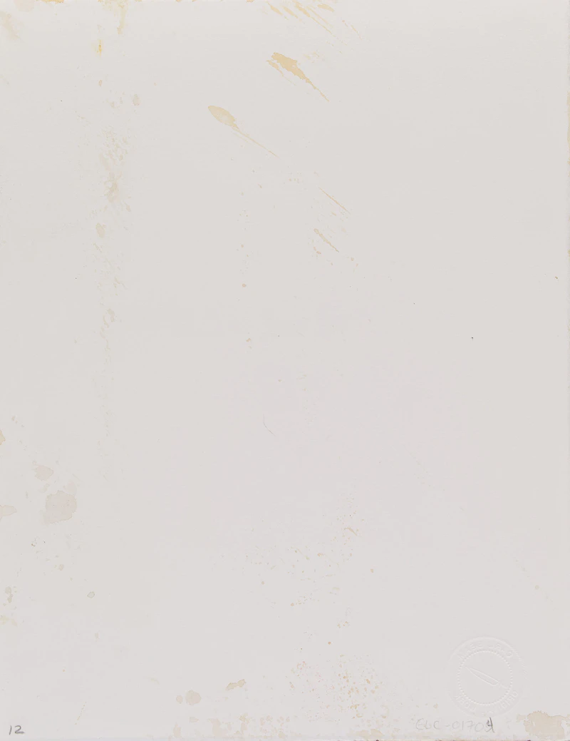 Carl Beam, Residential Schools: An Essential Component of Genocide, mixed media on paper - view 2