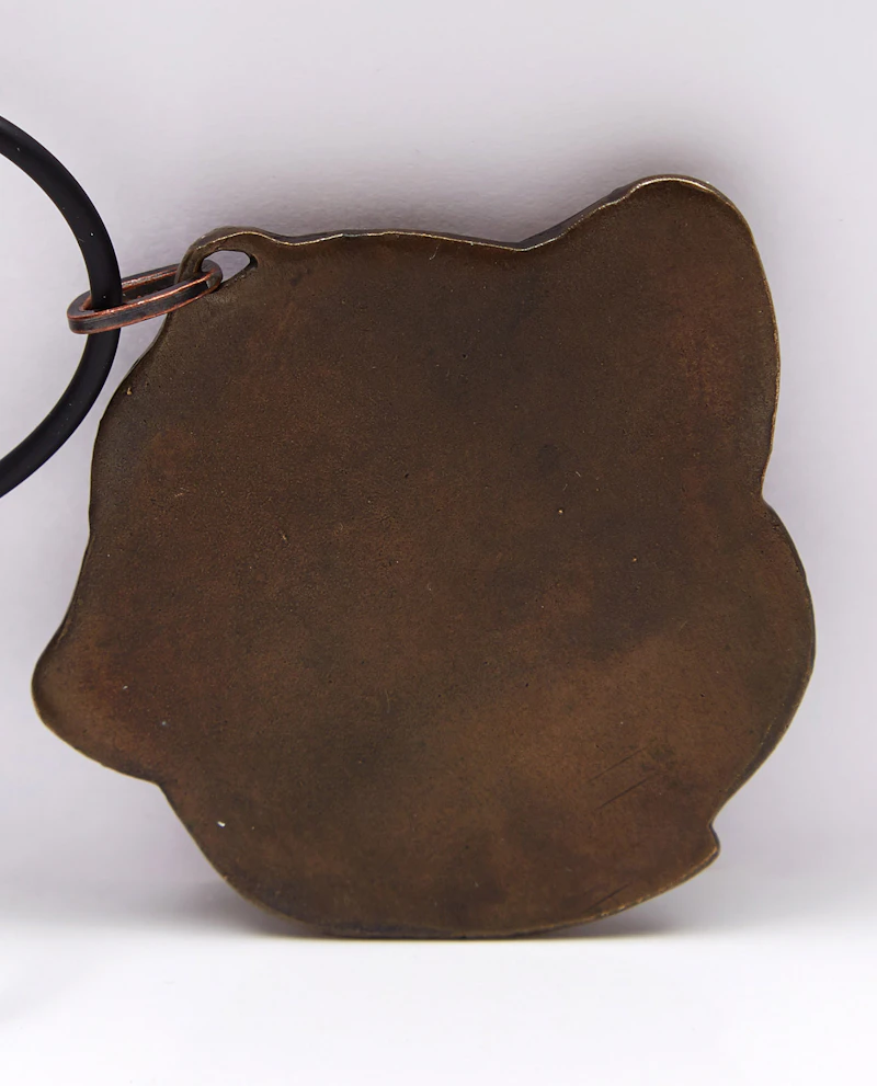 Dora de Pedery-Hunt, Nellie McClung, bronze pendant - view 2