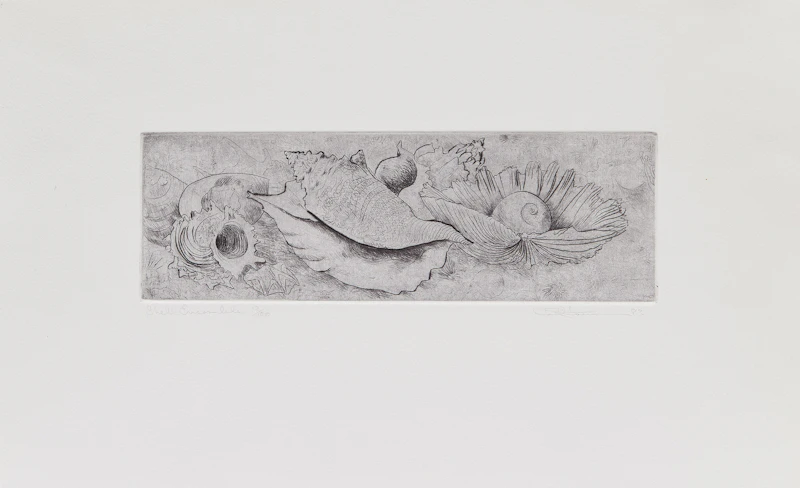 Paul Fournier, Collection of Eleven Works , gouache and etchings, 1967, 1968, 1983 - view 2