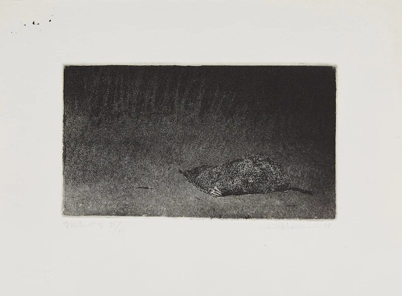 Paul Fournier, Collection of Eleven Works , gouache and etchings, 1967, 1968, 1983 - view 5