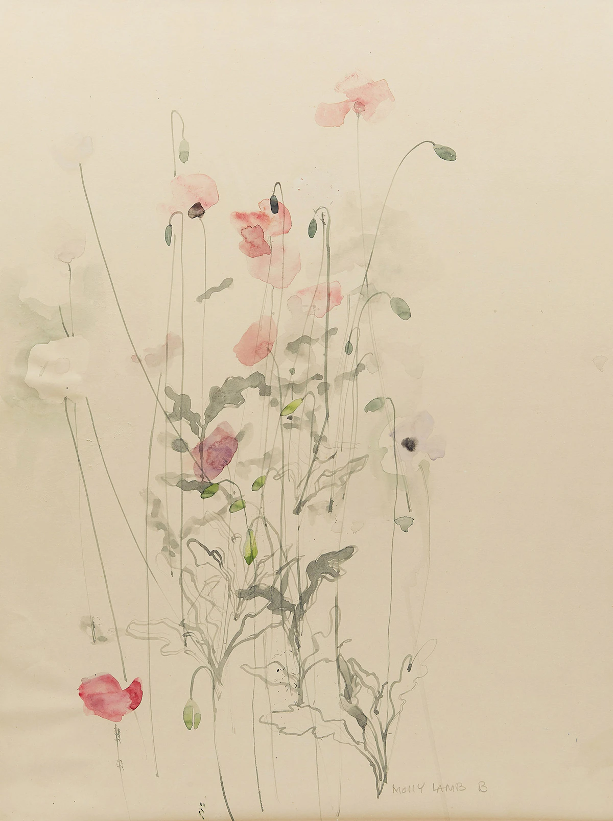 Molly Lamb Bobak, Shirly Poppies #2, watercolour