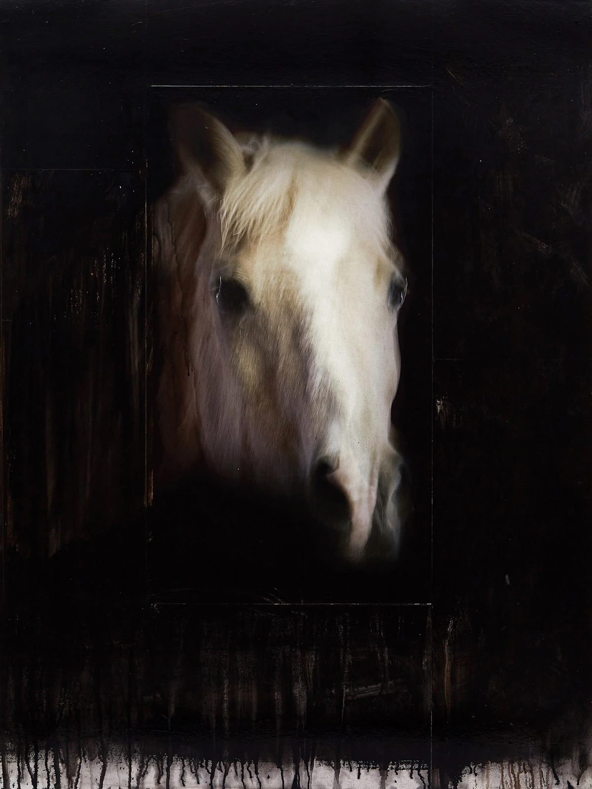 Andre Petterson, Toss, mixed media on panel, 2008