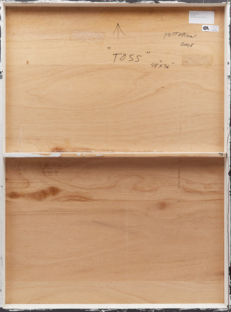 Andre Petterson, Toss, mixed media on panel, 2008 - view 2