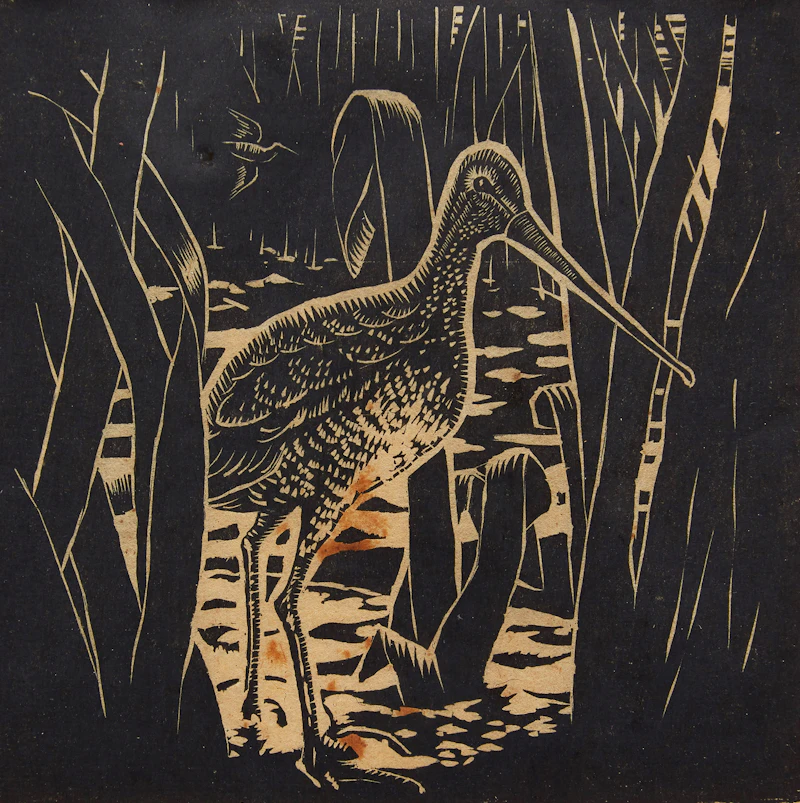 Bird Approaching by Felix James Shea