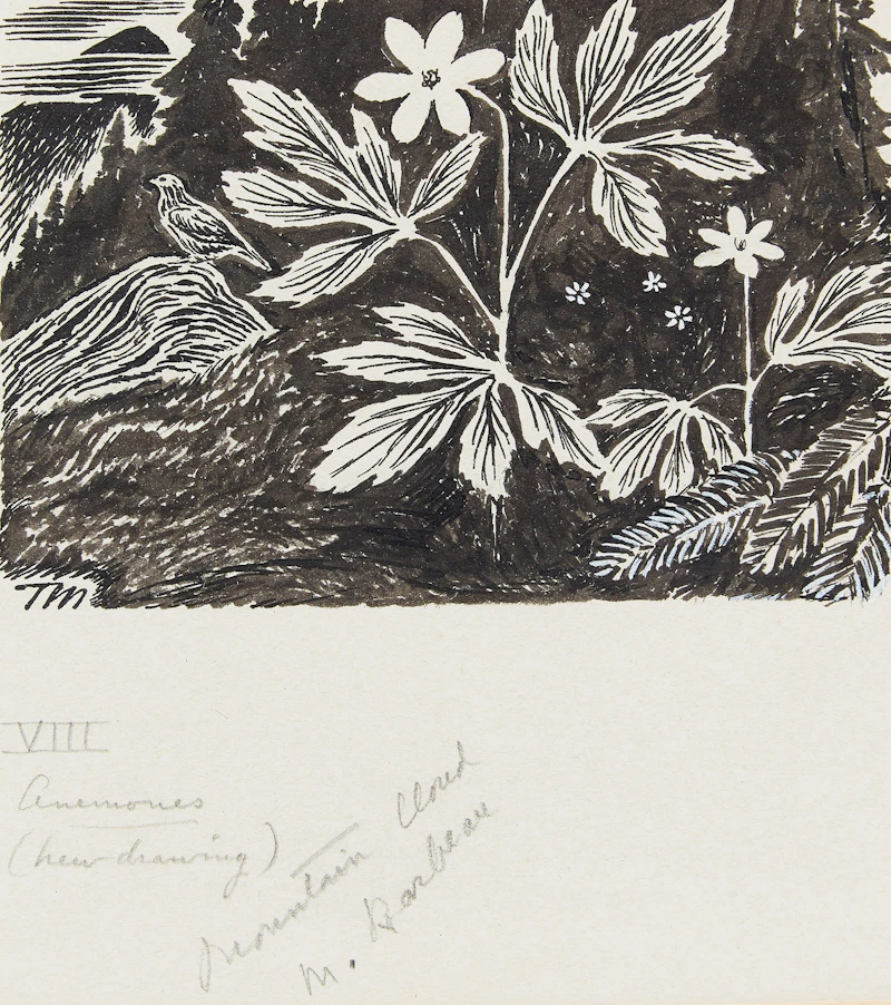 Anemones; Mountain Cloud by Thoreau MacDonald