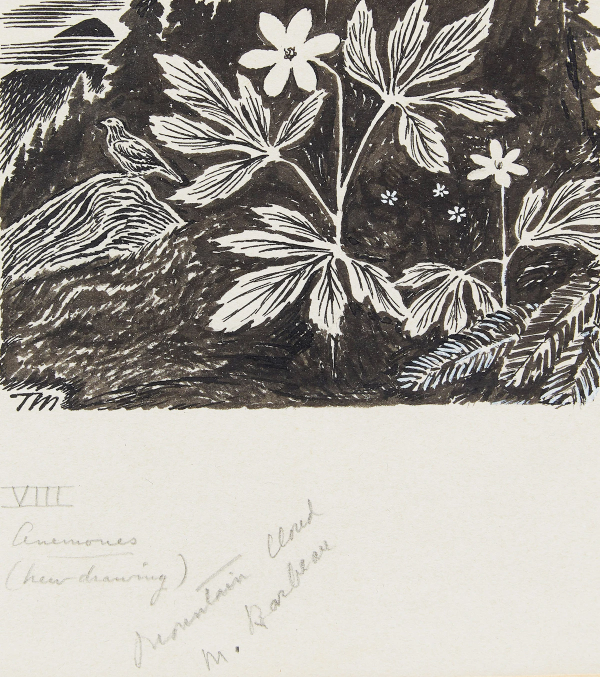 Thoreau MacDonald, Anemones; Mountain Cloud, woodcut