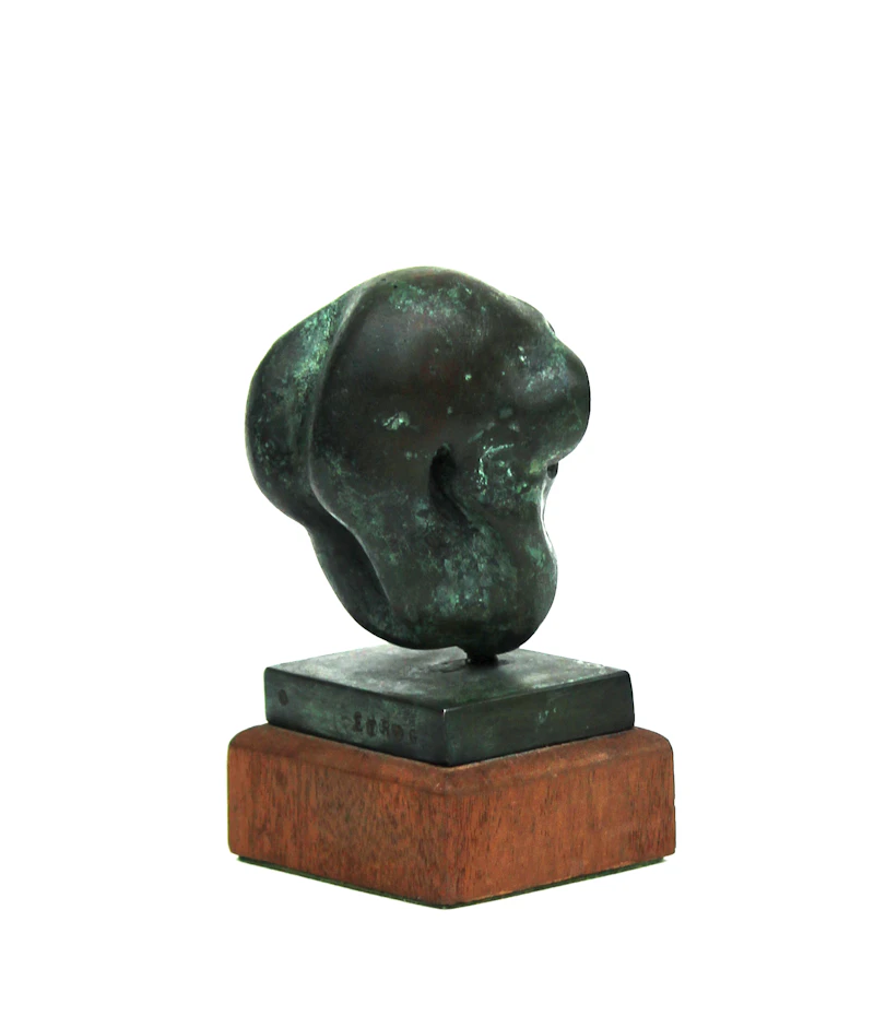 Sorel Etrog, Testina Study , bronze on a wooden base, 1969 - view 4