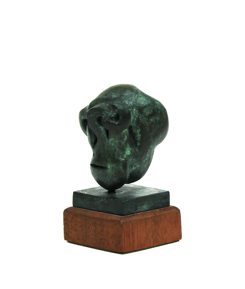 Sorel Etrog, Testina Study , bronze on a wooden base, 1969 - view 8