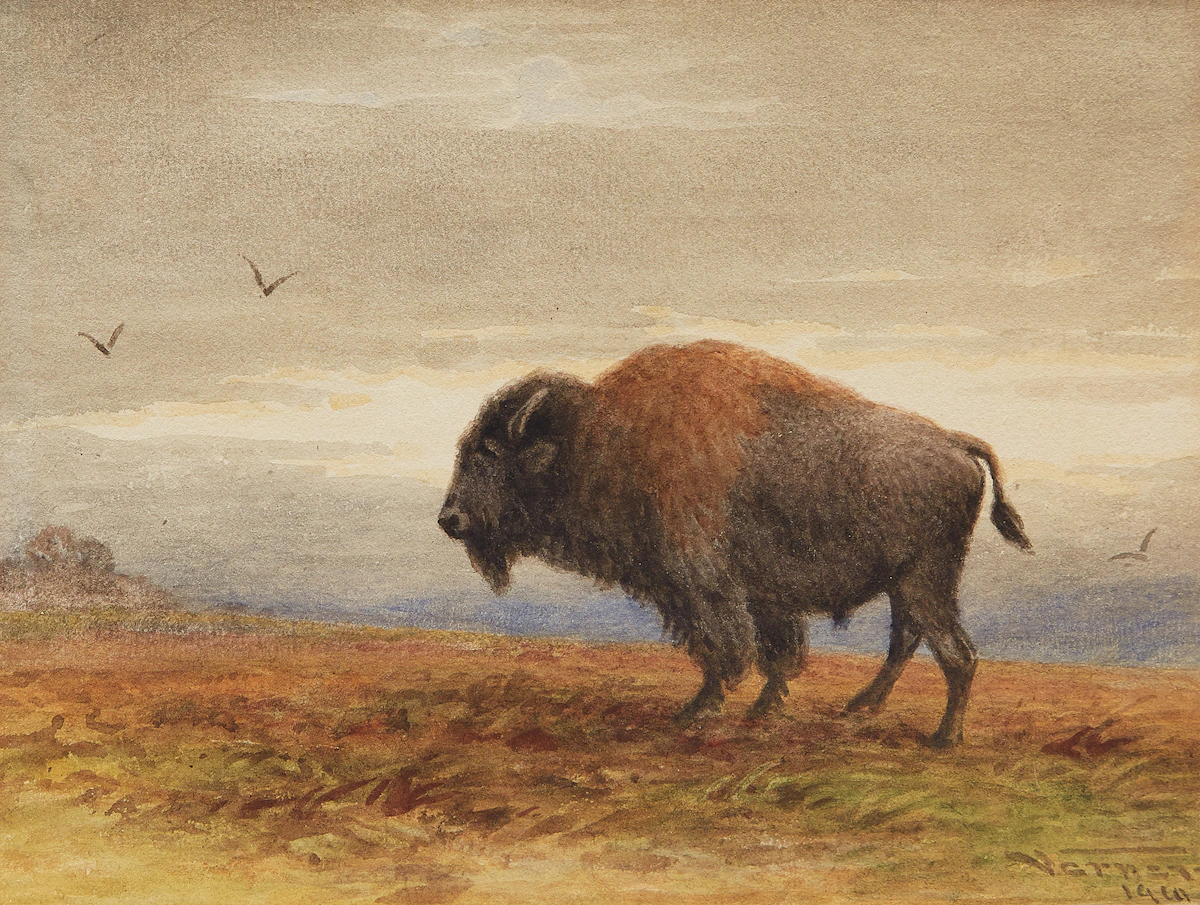 Frederick Arthur Verner, Buffalo, watercolour, 1910