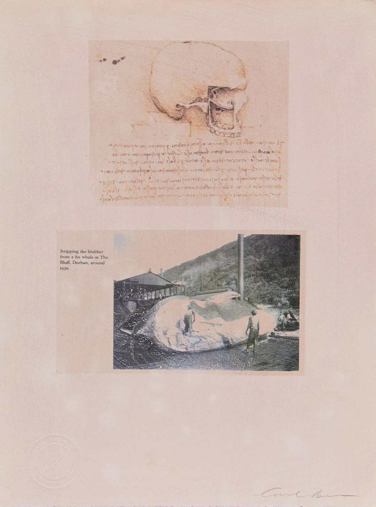 Carl Beam, Fin Whale at The Bluff, Durban, mixed media on paper