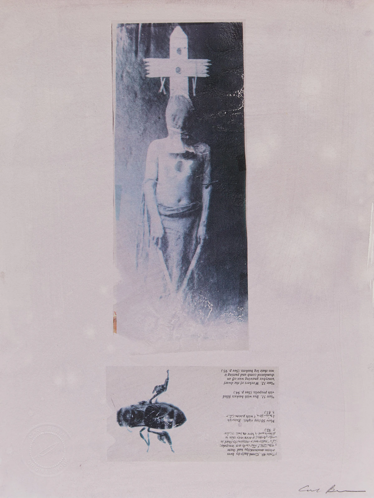 Carl Beam, Bee, mixed media on paper