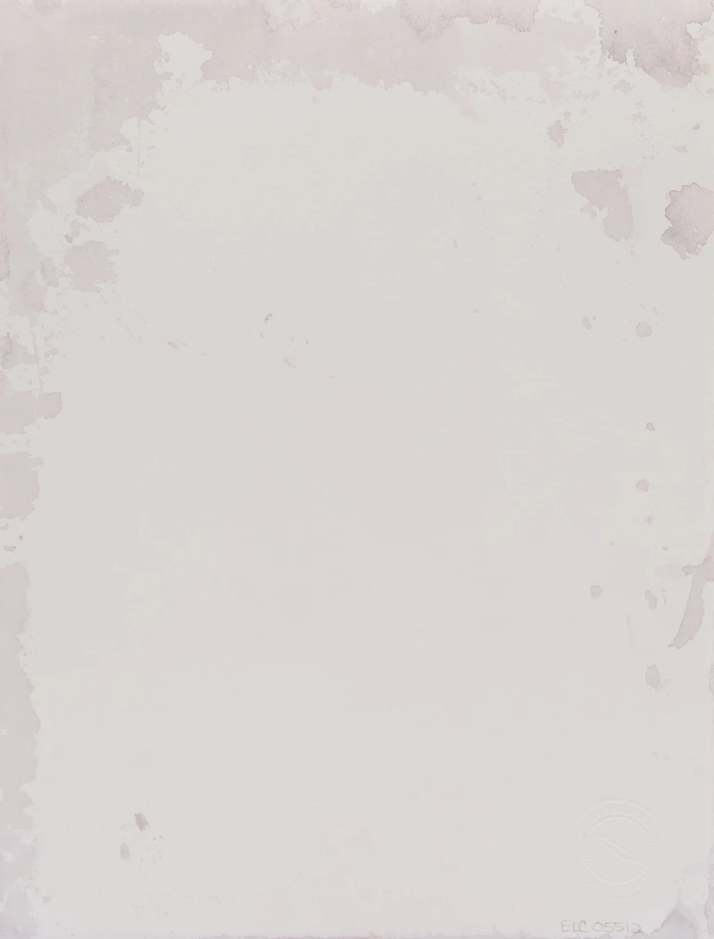 Carl Beam, Bee, mixed media on paper - view 2