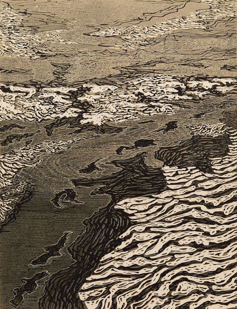 Tourbière I Mai  by René Derouin