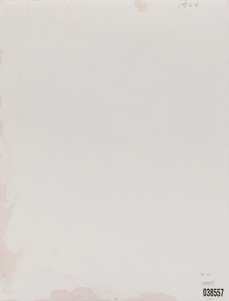 Carl Beam, Sih-Chida & Mahchsi- Karehde/ El Mundo, mixed media print - view 2
