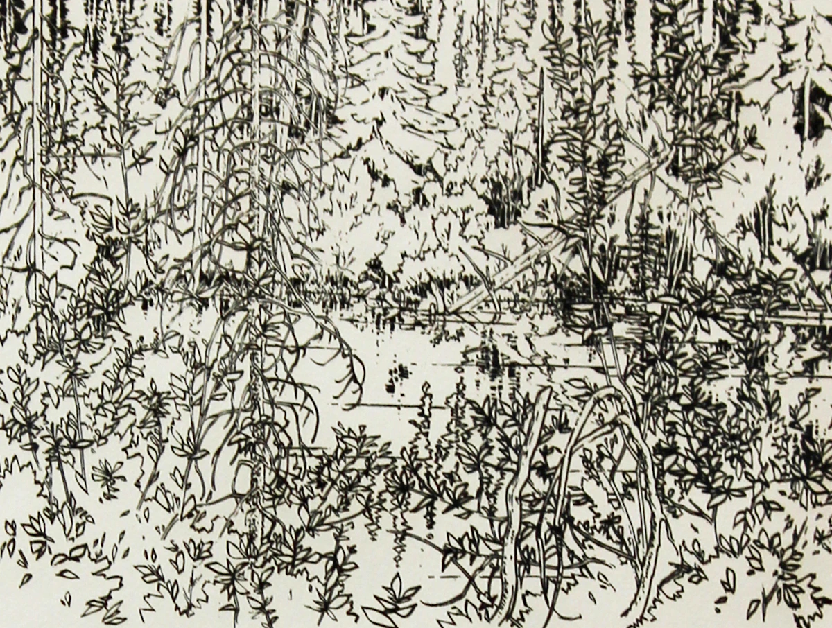 Edward W. (Ted) Godwin, Kananaskis Fall, etching