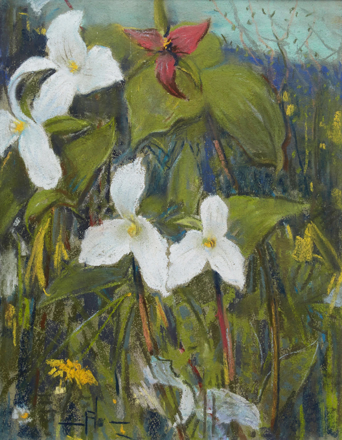 Peleg Franklin Brownell, Trilliums , pastel