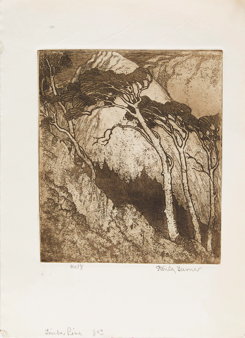 Stanley Francis Turner, Two Works: Design for Christmas Card; Timber Line, gouache; etching, 1930 - view 5