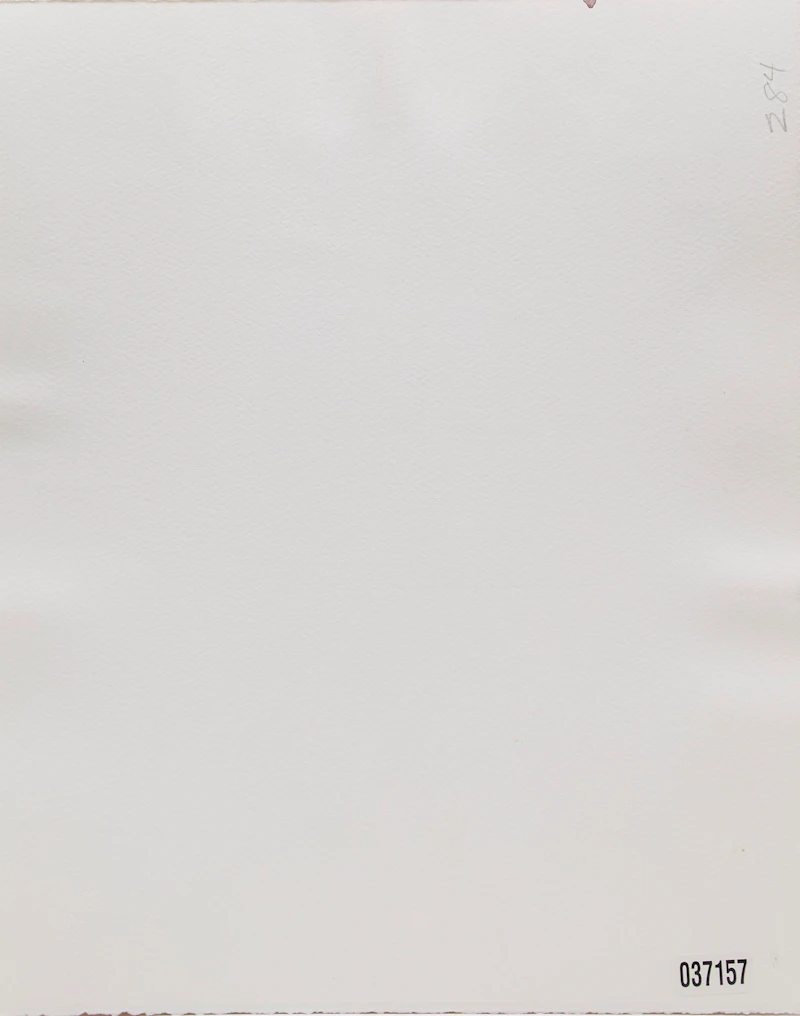 Ann Beam, Two Studies for the Motherline, mixed media on paper - view 4