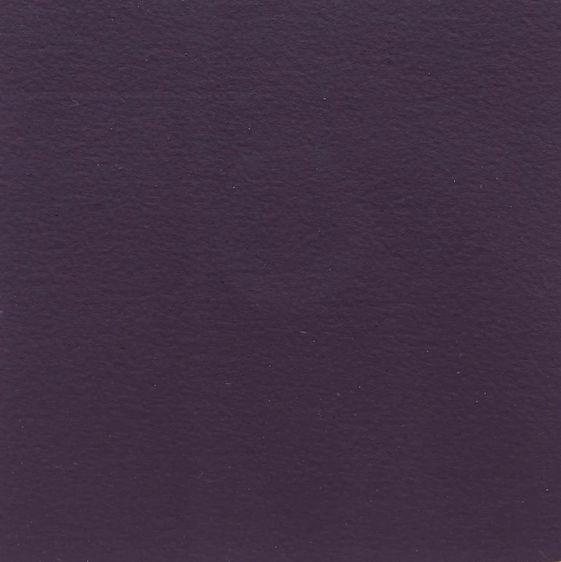 Oeuvre du catalogue Campbell, 1995  by Claude Tousignant