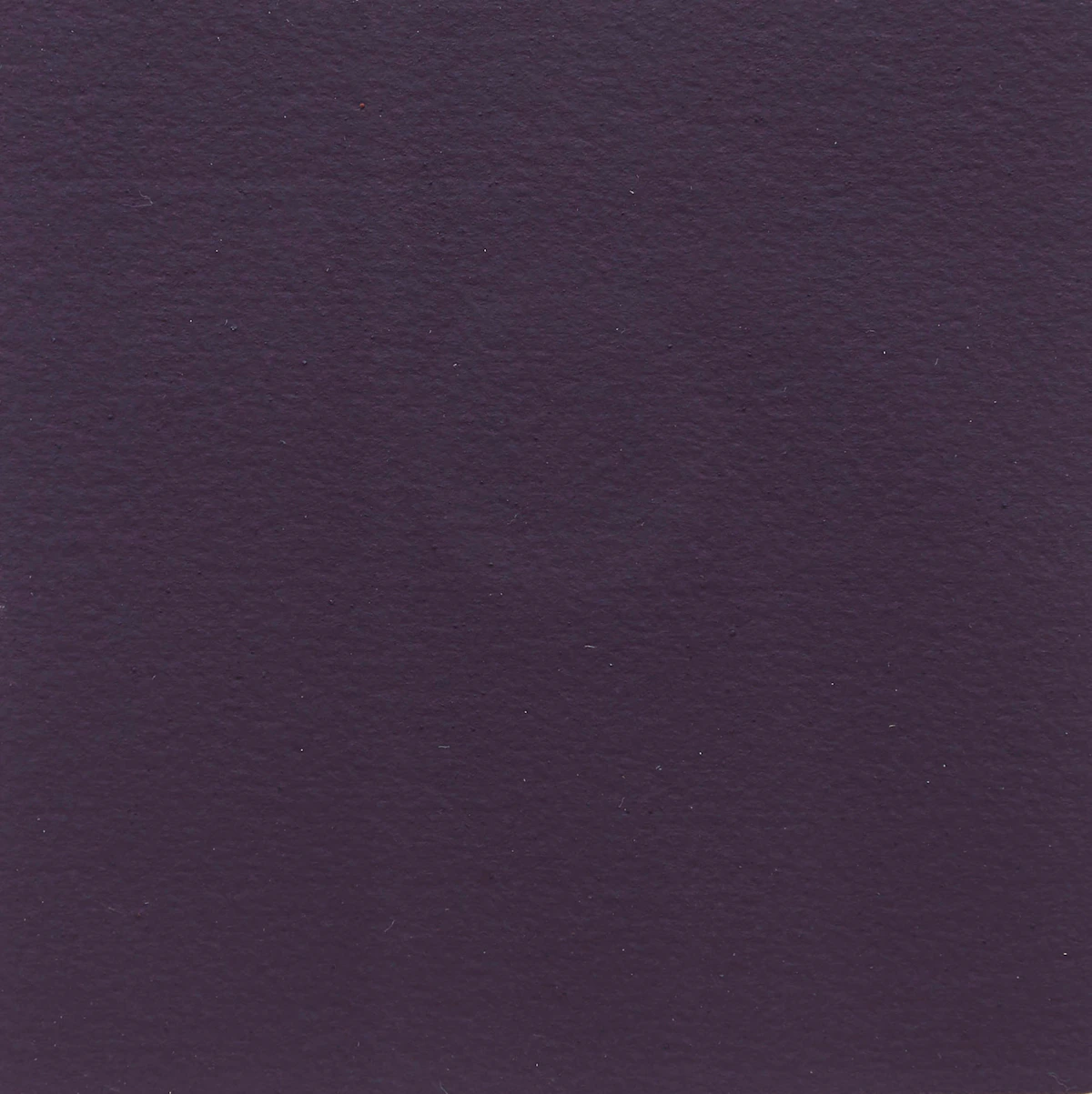 Claude Tousignant, Oeuvre du catalogue Campbell, 1995 , acrylic on card, 1995