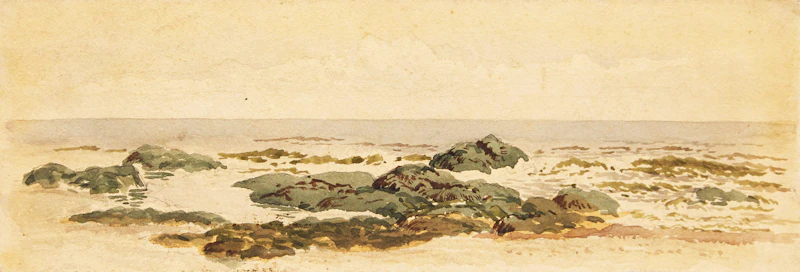 Frederic Marlett Bell-Smith, Rocky Shoreline
