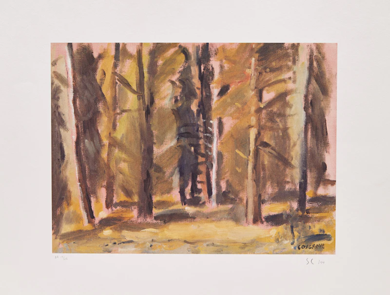 Stanley Morel Cosgrove, Collection of Five Assorted Landscapes and a Still-Life, five colour lithographs, 1993, 1994 - view 4