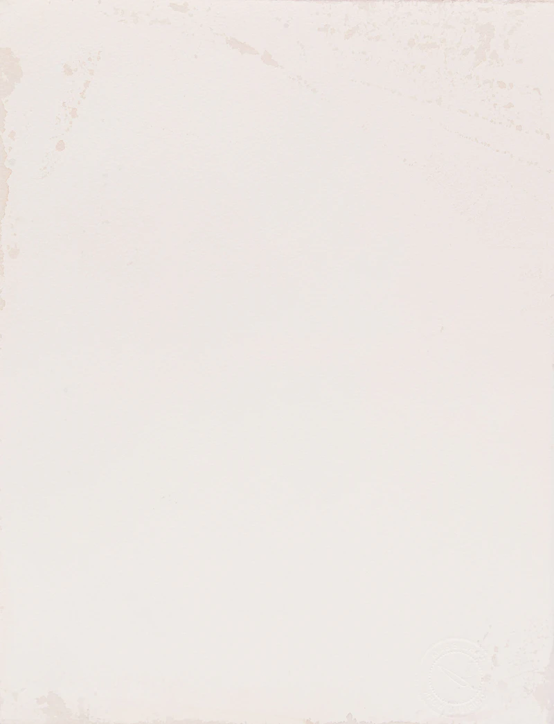 Carl Beam, La Corona, mixed media on paper - view 2