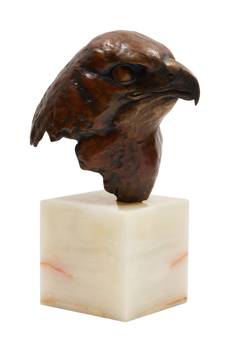 Robert Bateman, Red-Tailed Hawk Head Study (Buteo Jamaicensis)