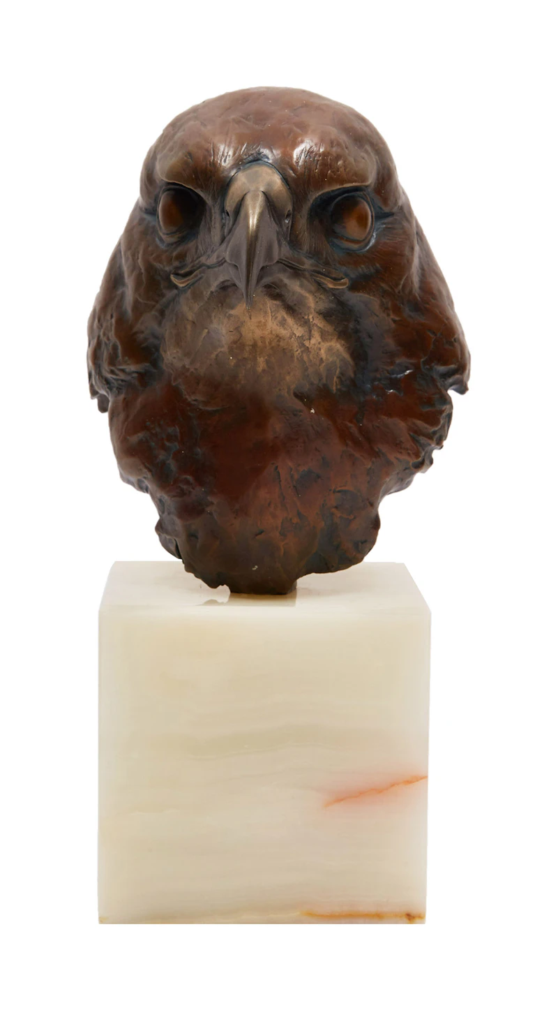 Robert Bateman, Red-Tailed Hawk Head Study (Buteo Jamaicensis), bronze, 1982 - view 2