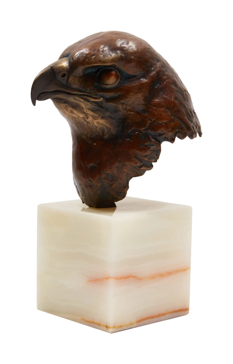 Robert Bateman, Red-Tailed Hawk Head Study (Buteo Jamaicensis), bronze, 1982 - view 3