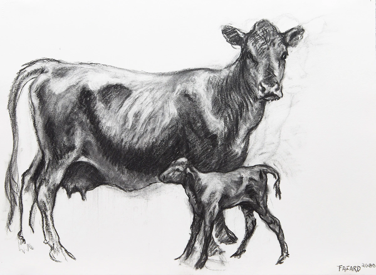 Joe Fafard, Ophelia, charcoal on paper, 2000